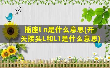 插座l n是什么意思(开关接头L和L1是什么意思)